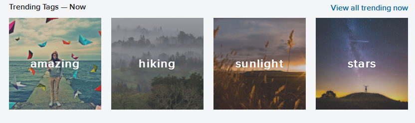 Flickr
